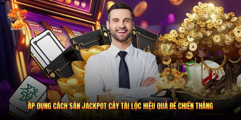 Áp dụng cách săn jackpot cây tài lộc hiệu quả để chiến thắng