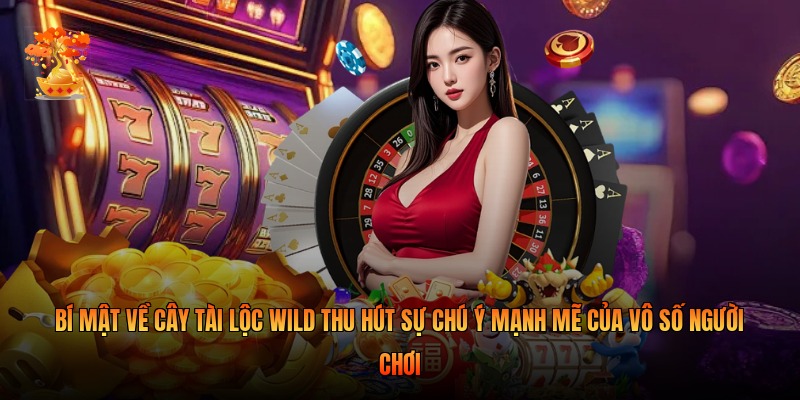 Bí mật về cây tài lộc wild thu hút sự chú ý mạnh mẽ của vô số người chơi