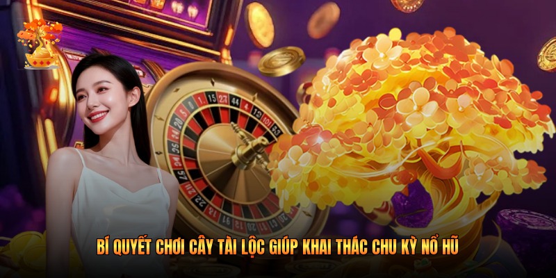 Bí Quyết Chơi Cây Tài Lộc Giúp Khai Thác Chu Kỳ Nổ Hũ