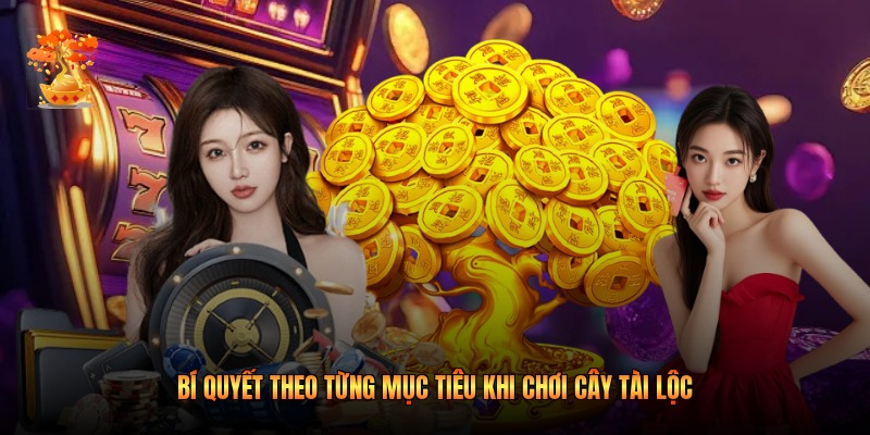Bí quyết theo từng mục tiêu khi chơi Cây Tài Lộc
