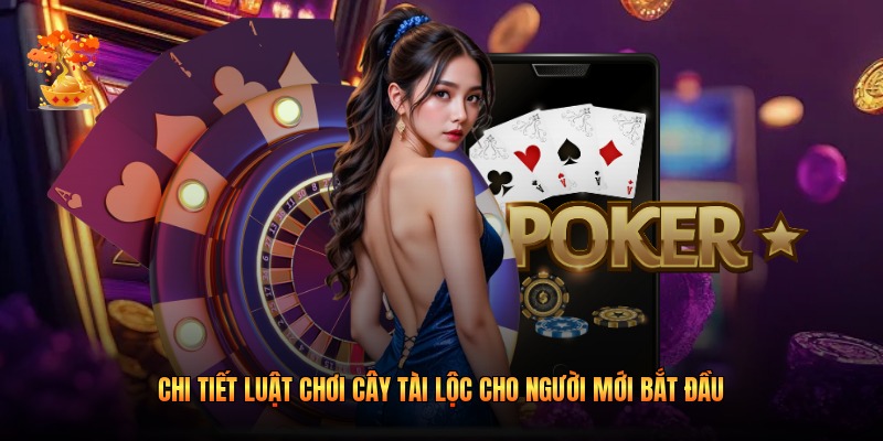 Chi tiết luật chơi Cây Tài Lộc cho người mới bắt đầu