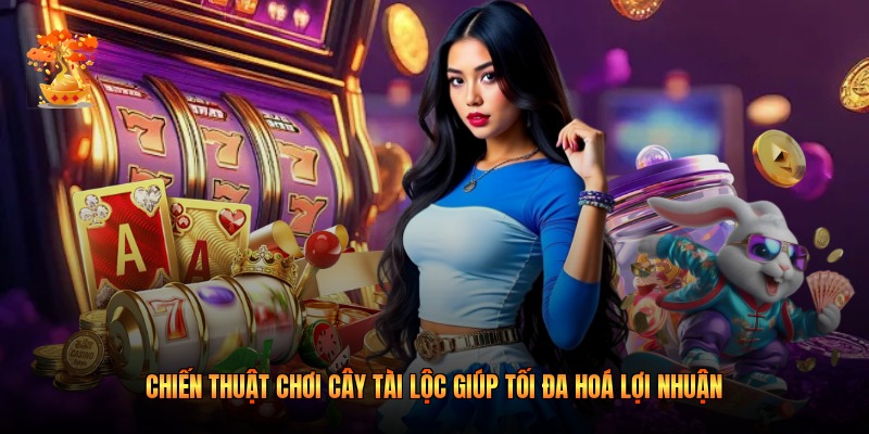 Chiến Thuật Chơi Cây Tài Lộc Giúp Tối Đa Hoá Lợi Nhuận