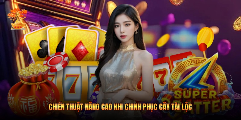 Chiến thuật nâng cao khi chinh phục Cây Tài Lộc