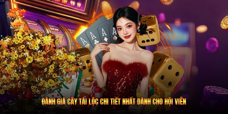 Đánh giá cây tài lộc chi tiết nhất dành cho hội viên