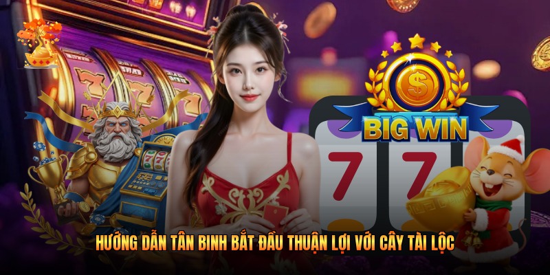 Hướng dẫn tân binh bắt đầu thuận lợi với Cây Tài Lộc