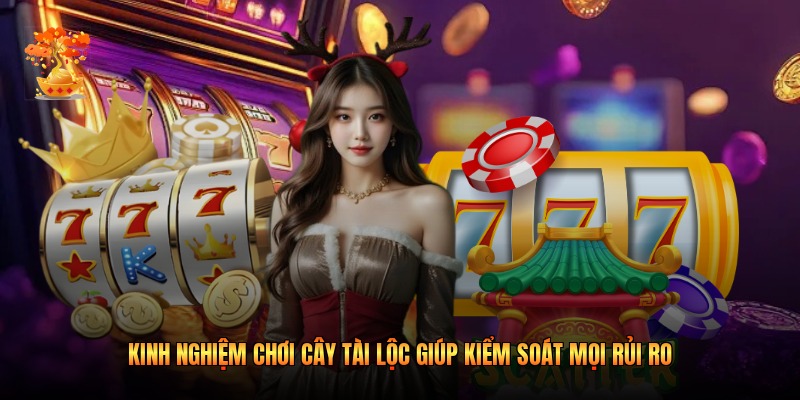 Kinh Nghiệm Chơi Cây Tài Lộc Giúp Kiểm Soát Mọi Rủi Ro