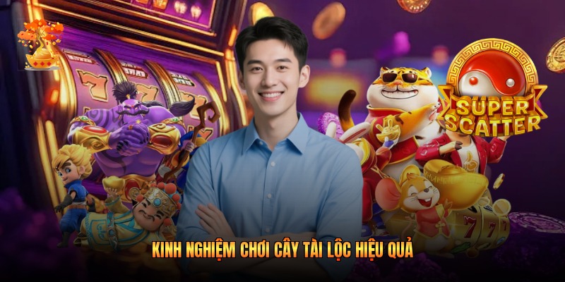 Kinh nghiệm chơi cây tài lộc hiệu quả