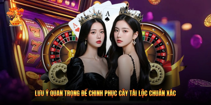 Lưu ý quan trọng để chinh phục Cây Tài Lộc chuẩn xác