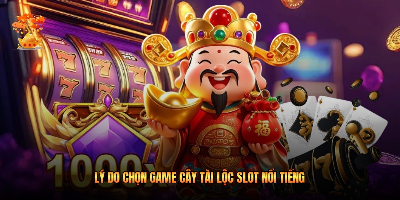 Lý do chọn game Cây Tài Lộc Slot nổi tiếng