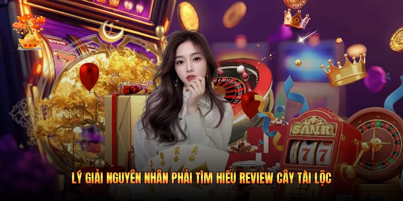Lý giải nguyên nhân phải tìm hiểu review Cây Tài Lộc