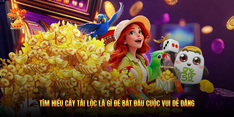 Tìm Hiểu Cây Tài Lộc Là Gì Để Bắt Đầu Cuộc Vui Dễ Dàng