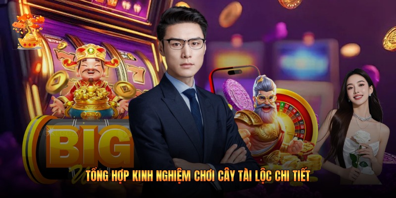 Tổng hợp kinh nghiệm chơi Cây Tài Lộc chi tiết